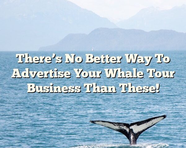 There’s No Better Way To Advertise Your Whale Tour Business Than These!