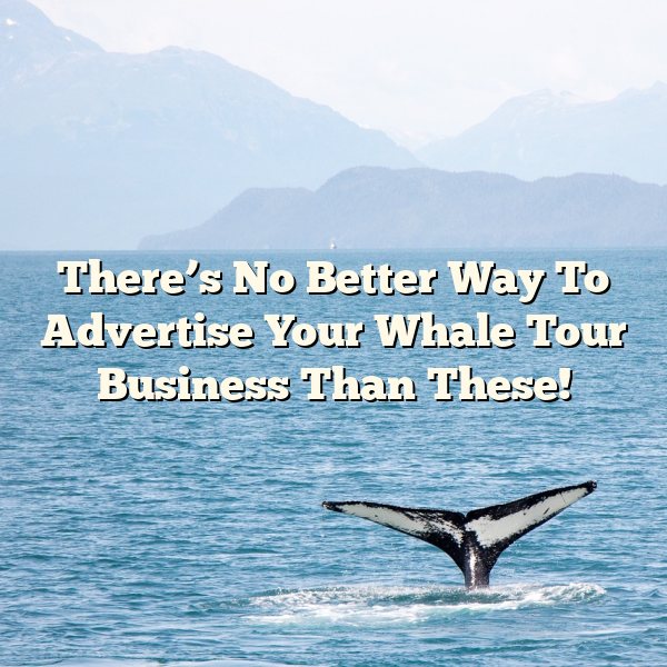 There’s No Better Way To Advertise Your Whale Tour Business Than These!