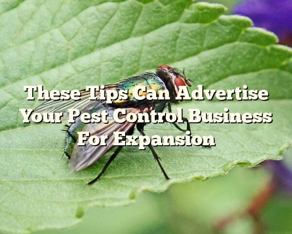 These Tips Can Advertise Your Pest Control Business For Expansion