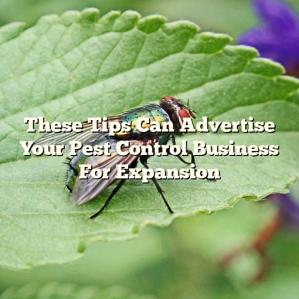 These Tips Can Advertise Your Pest Control Business For Expansion