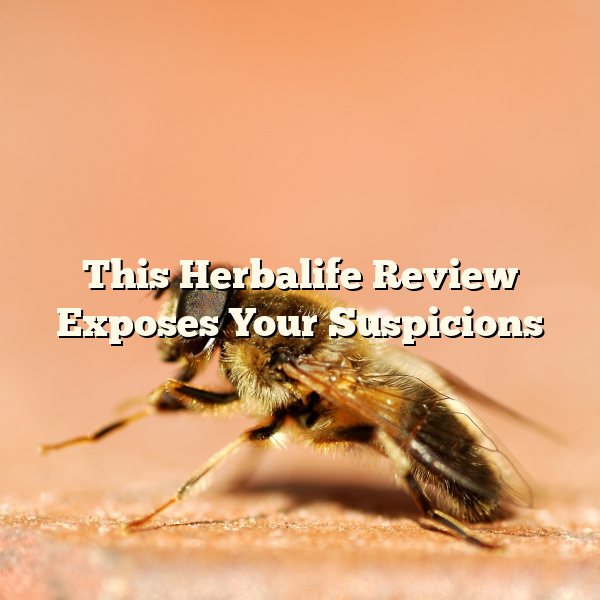 This Herbalife Review Exposes Your Suspicions