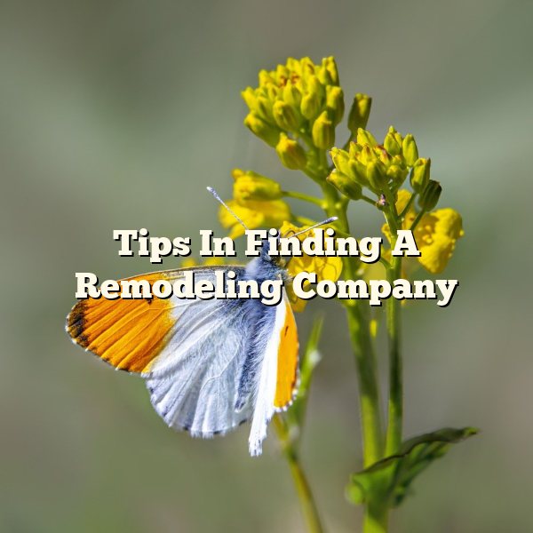 Tips In Finding A Remodeling Company