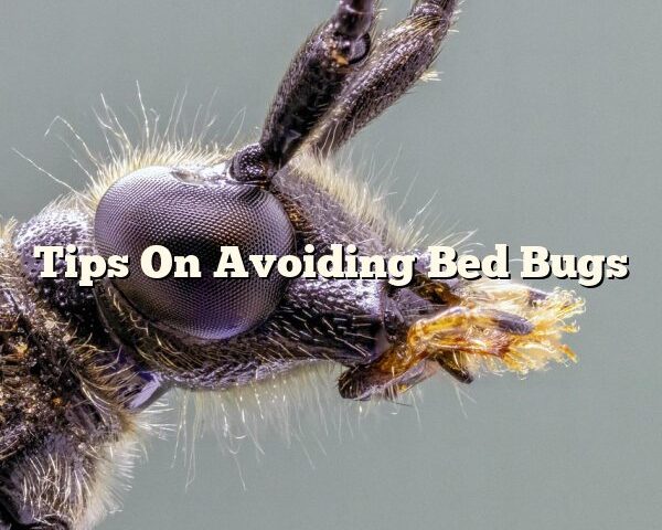 Tips On Avoiding Bed Bugs