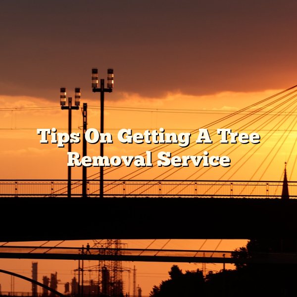 Tips On Getting A Tree Removal Service