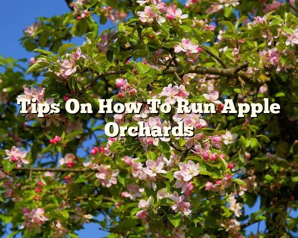 Tips On How To Run Apple Orchards