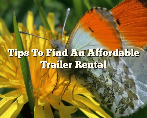 Tips To Find An Affordable Trailer Rental