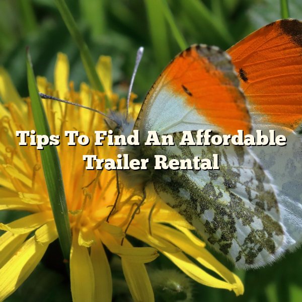 Tips To Find An Affordable Trailer Rental