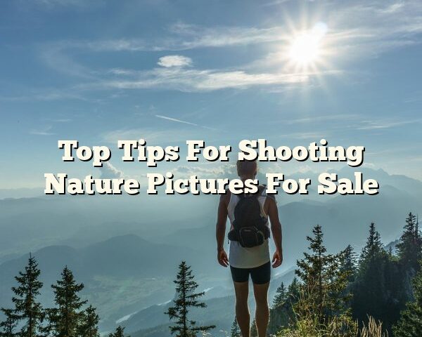 Top Tips For Shooting Nature Pictures For Sale