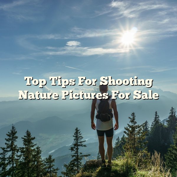 Top Tips For Shooting Nature Pictures For Sale