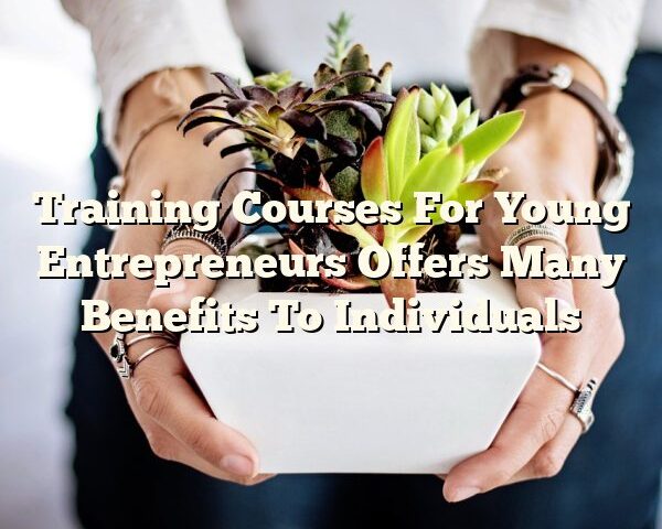 Training Courses For Young Entrepreneurs Offers Many Benefits To Individuals