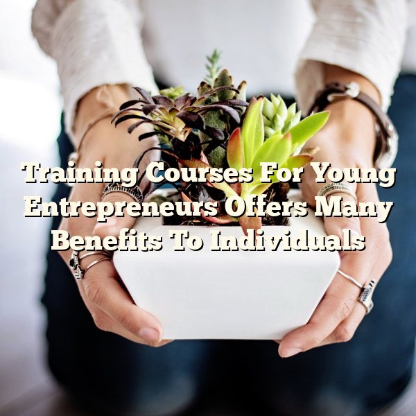 Training Courses For Young Entrepreneurs Offers Many Benefits To Individuals