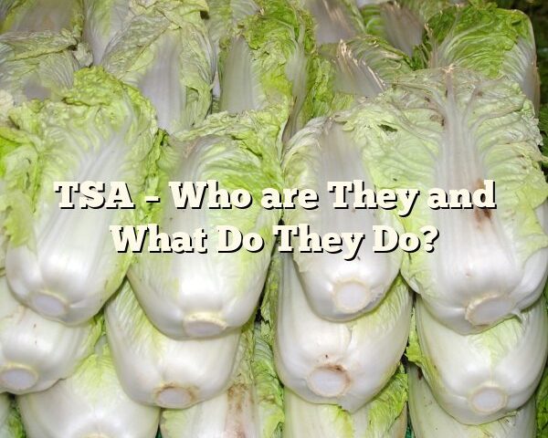 TSA – Who are They and What Do They Do?