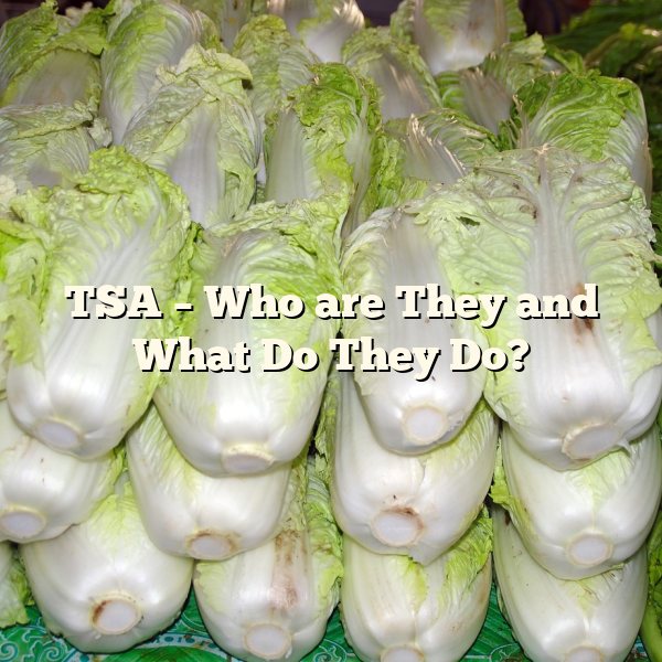 TSA – Who are They and What Do They Do?