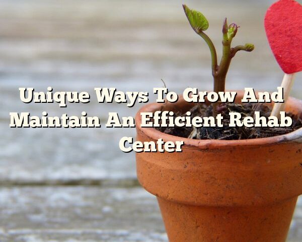 Unique Ways To Grow And Maintain An Efficient Rehab Center