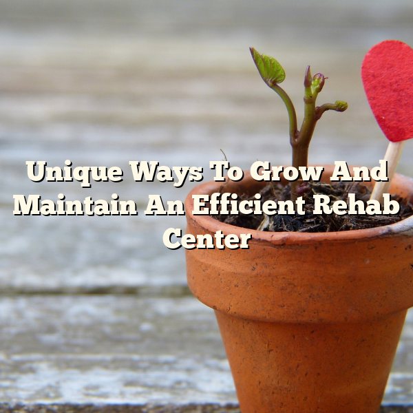 Unique Ways To Grow And Maintain An Efficient Rehab Center