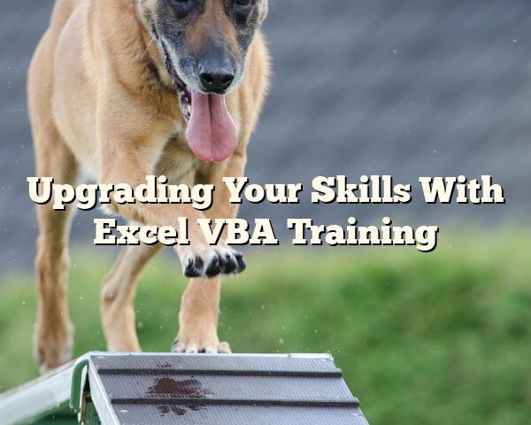 Upgrading Your Skills With Excel VBA Training