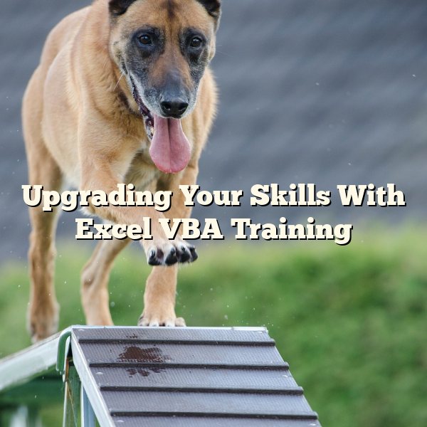 Upgrading Your Skills With Excel VBA Training