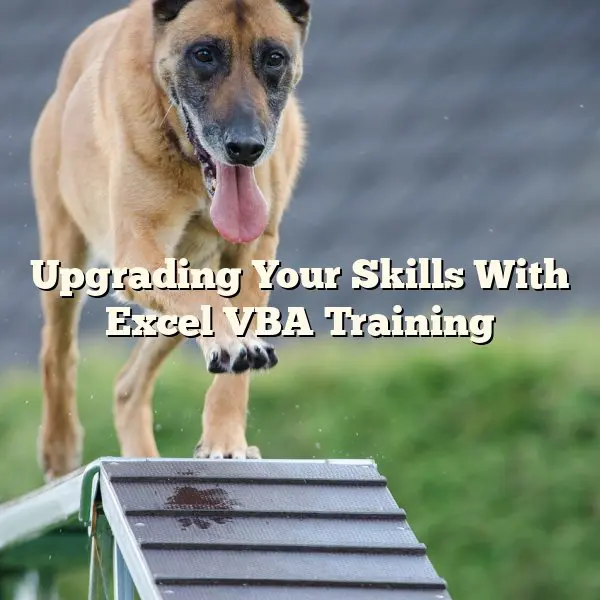 Upgrading Your Skills With Excel VBA Training