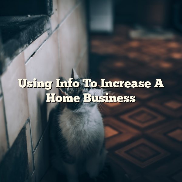 Using Info To Increase A Home Business