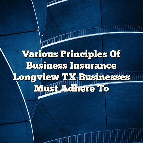 Various Principles Of Business Insurance Longview TX Businesses Must Adhere To