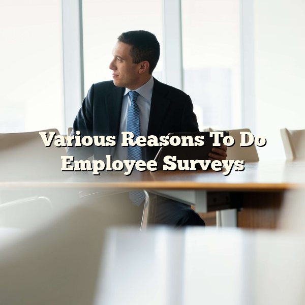 Various Reasons To Do Employee Surveys