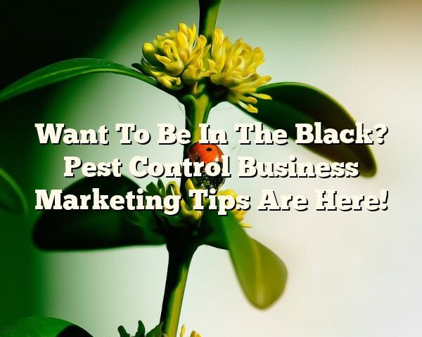 Want To Be In The Black? Pest Control Business Marketing Tips Are Here!