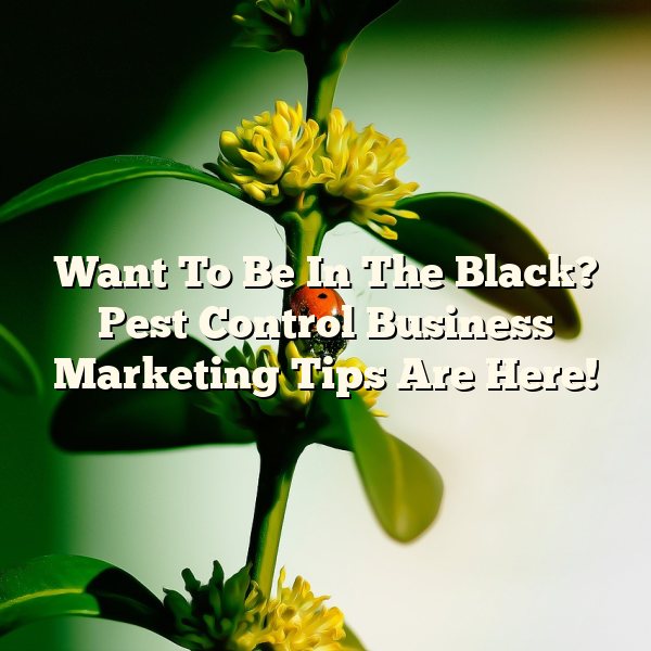 Want To Be In The Black? Pest Control Business Marketing Tips Are Here!