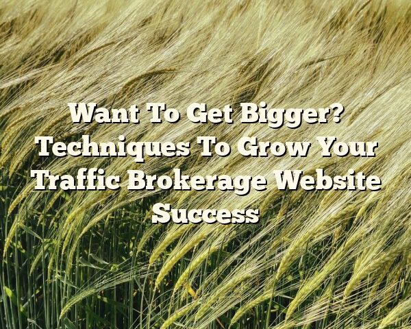 Want To Get Bigger? Techniques To Grow Your Traffic Brokerage Website Success