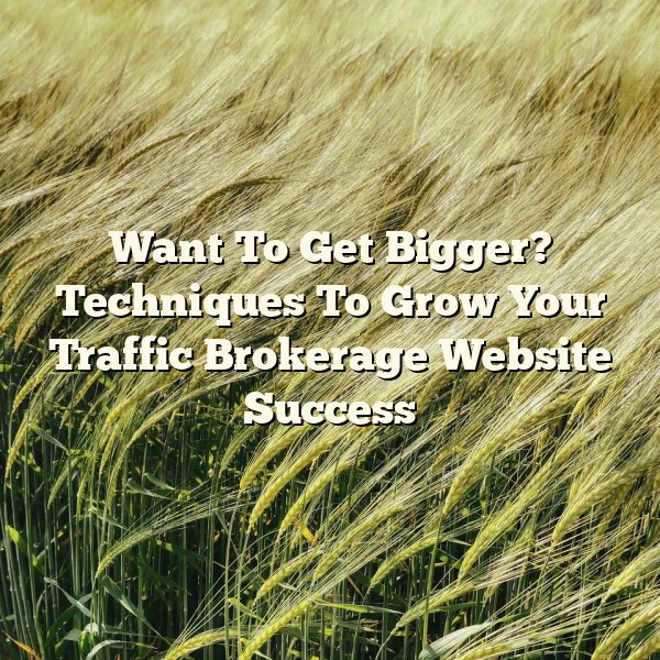 Want To Get Bigger? Techniques To Grow Your Traffic Brokerage Website Success