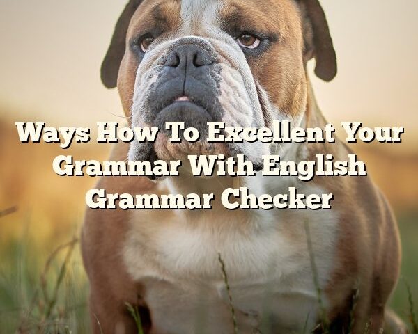 Ways How To Excellent Your Grammar With English Grammar Checker