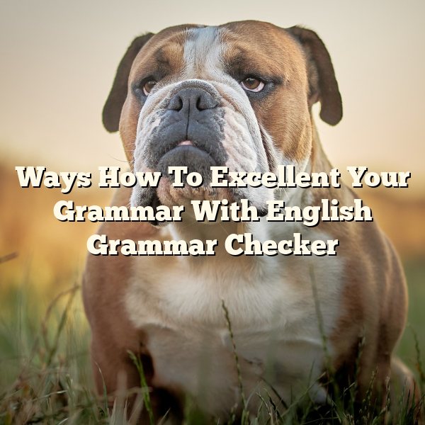 Ways How To Excellent Your Grammar With English Grammar Checker