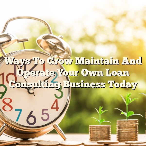 Ways To Grow Maintain And Operate Your Own Loan Consulting Business Today