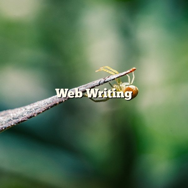 Web Writing