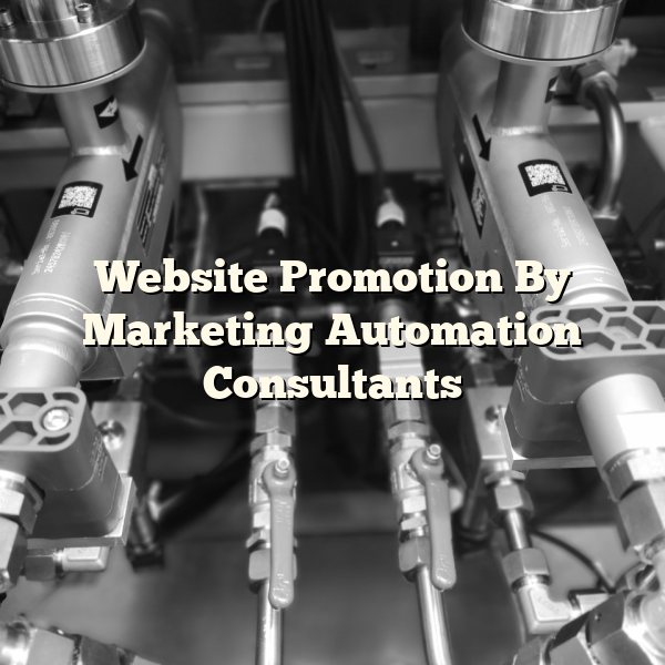 Website Promotion By Marketing Automation Consultants