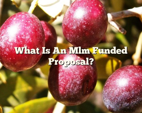 What Is An Mlm Funded Proposal?