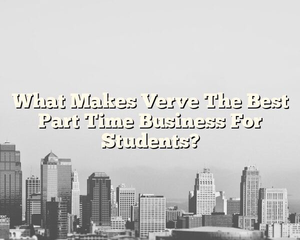 What Makes Verve The Best Part Time Business For Students?