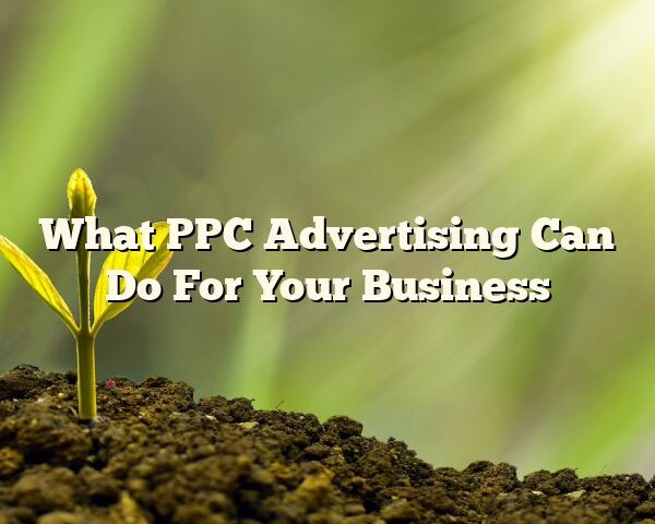 What PPC Advertising Can Do For Your Business