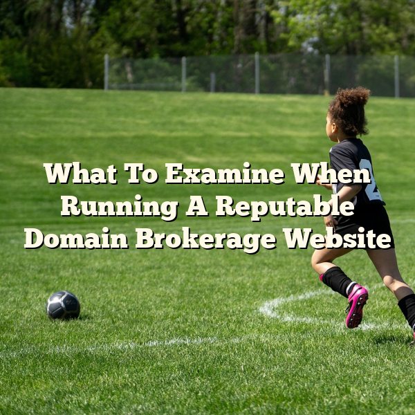 What To Examine When Running A Reputable Domain Brokerage Website