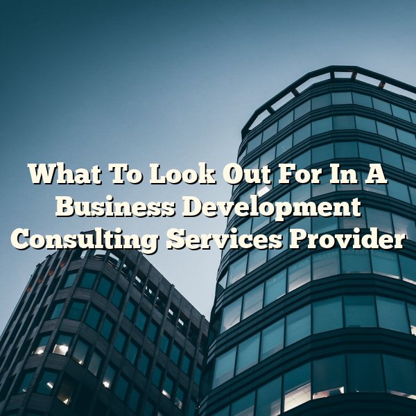 What To Look Out For In A Business Development Consulting Services Provider