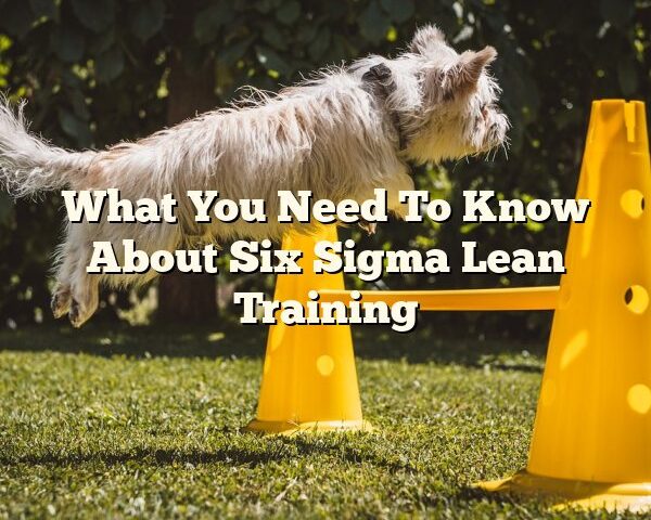 What You Need To Know About Six Sigma Lean Training