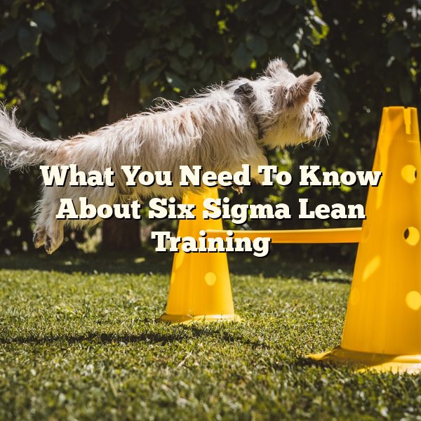 What You Need To Know About Six Sigma Lean Training