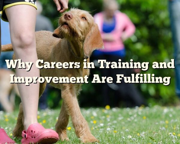 Why Careers in Training and Improvement Are Fulfilling