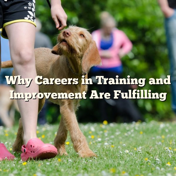 Why Careers in Training and Improvement Are Fulfilling