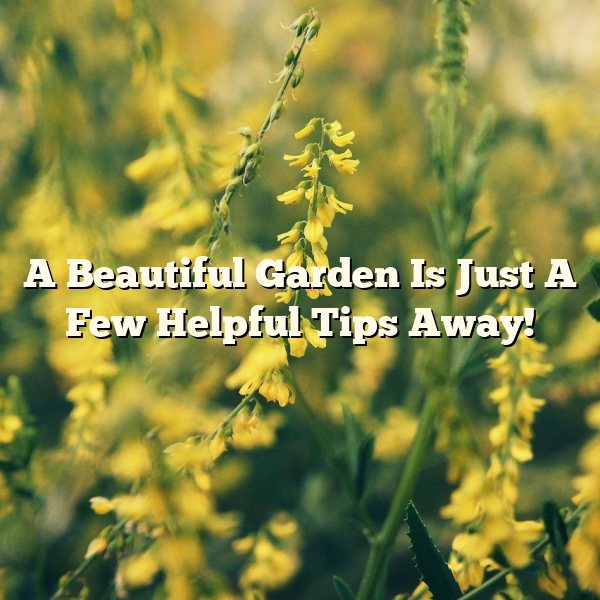 A Beautiful Garden Is Just A Few Helpful Tips Away!