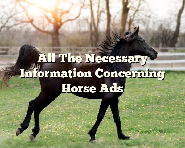 All The Necessary Information Concerning Horse Ads