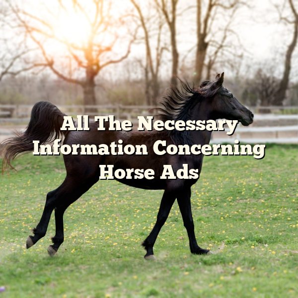 All The Necessary Information Concerning Horse Ads