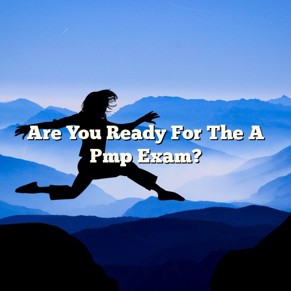 Are You Ready For The A Pmp Exam?