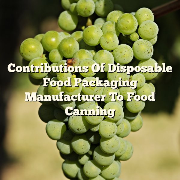 Contributions Of Disposable Food Packaging Manufacturer To Food Canning