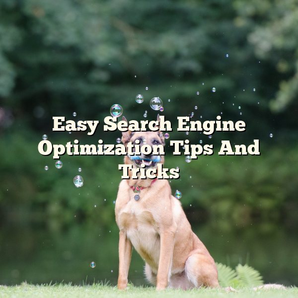 Easy Search Engine Optimization Tips And Tricks