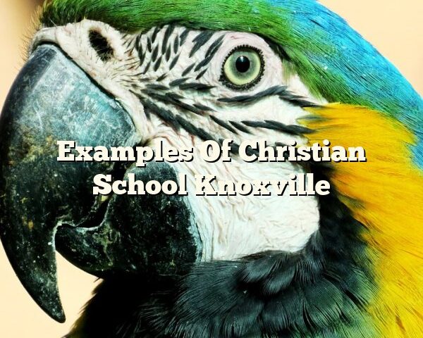 Examples Of Christian School Knoxville